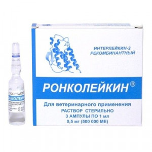 РОНКОЛЕЙКИН 500000МЕ 1МЛ. №3 Р-Р Д/В/В,П/К АМП. РОНКОЛЕЙКИН 500000МЕ 1МЛ. №3 Р-Р Д/В/В,П/К АМП.