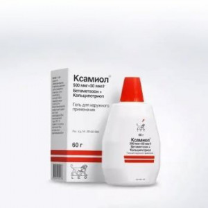 КСАМИОЛ 60Г. ГЕЛЬ Д/НАРУЖ.ПРИМ. КСАМИОЛ 60Г. ГЕЛЬ Д/НАРУЖ.ПРИМ.