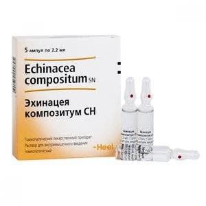 ЭХИНАЦЕЯ КОМПОЗИТУМ СН 2,2МЛ. №5 Р-Р Д/ИН. ГОМЕОПАТ. АМП. ЭХИНАЦЕЯ КОМПОЗИТУМ СН 2,2МЛ. №5 Р-Р Д/ИН. ГОМЕОПАТ. АМП.